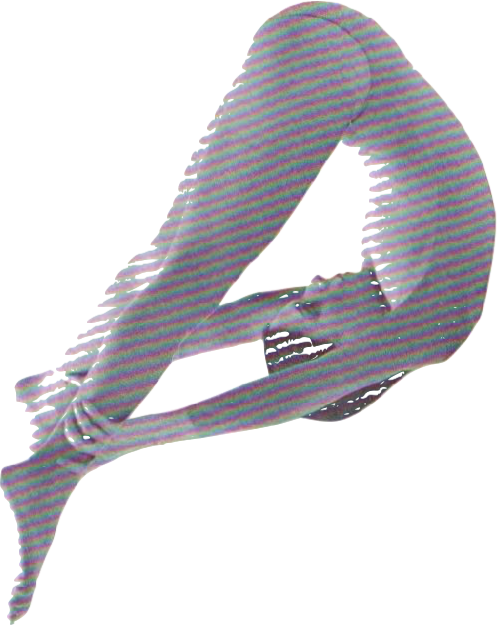yoga lady